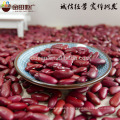 Dark Red Kidney bean 2015 crop HPS size 200-220pcs/100g